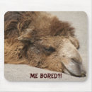 Search for amusing electronics Animal