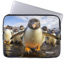 Search for funny penguin electronics Animals