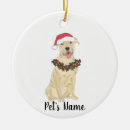 Search for terrier christmas tree decorations Pitbull