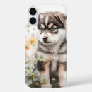 Search for siberian husky dog iphone cases Cute