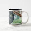 Search for alertness mugs Vertical