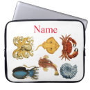 Search for crab cases Sea creatures