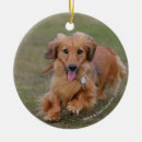 Search for miniature dachshund christmas tree decorations Zwergteckel