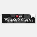 Search for beards bumper stickers Dog