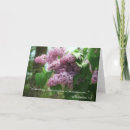 Search for mothers day bible verses postcards Flower