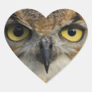 Search for owl with heart stickers For her