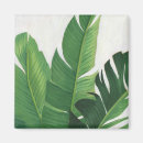 Search for pura magnets Tropical