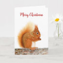 Search for red squirrel christmas cards Nature