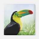 Search for toucans magnets Nature