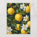 Search for fruit painting postcards Yellow
