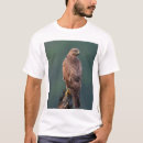 Search for young adult tshirts Asia