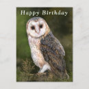 Search for owl birthday cards Barn