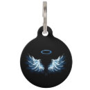 Search for blue wing Black