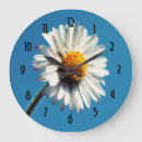 Search for daisy clocks Flower