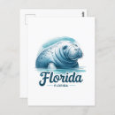 Search for florida manatee postcards Postcrossing