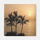 Search for palms magnets Sea