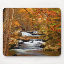 Search for rush mousepads Forest