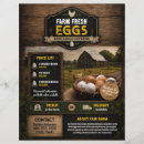 Search for eggs flyers Farm