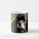 Search for spanials Spaniel