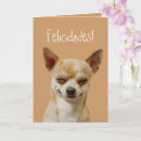 Search for funny chihuahua birthday cards Animal