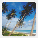 Search for santo domingo stickers Palm tree