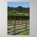 Search for vineyard posters Rustic