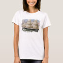 Search for two masted B