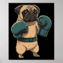 Search for ufc posters Muay thai fighter