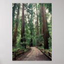 Search for marin county posters Tree