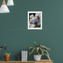 Search for white iris posters Floral