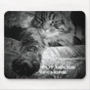 Search for grumpy cat mousepads Kitty