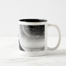 Search for cell division Black