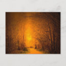 Search for lighting postcards Trees