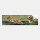 Search for hunting dog bumper stickers Retriever