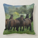 Search for mustang cushions Mountains