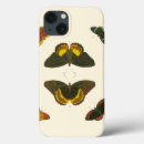 Search for butterfly cases White
