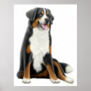 Search for berners posters Swiss