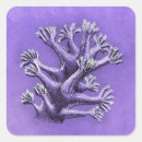 Search for biology stickers Zoology