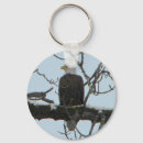 Search for bald round key rings Nature