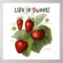 Search for variety posters Vintage