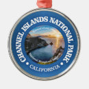 Search for santa cruz christmas tree decorations Channel islands