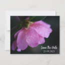 Search for close up invitations Flower
