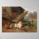 Search for poultry posters Hen