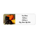 Search for autumn harvest return address labels Pumpkins