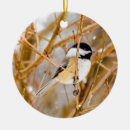 Search for chickadee christmas tree decorations Songbird