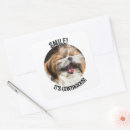 Search for shihtzu stickers Dog