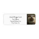 Search for otter return address labels Animal