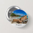 Search for seychelles badges Vacation
