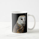 Search for barn owls mugs Nature