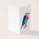 Search for realistic cards Pastel